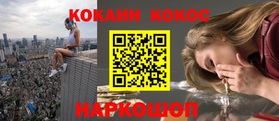 крисы Можга