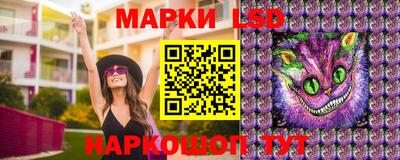 крисы Можга