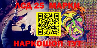 крисы Можга