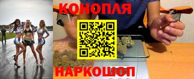 крисы Можга