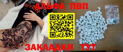 крисы Можга