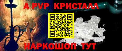 крисы Можга