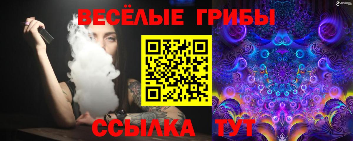 Алапаевск  Псилоцибиновые грибы MAGIC MUSHROOMS  Вход с VPN 